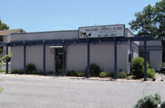 Waldorf Animal Clinic