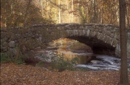 Rock Creek Park