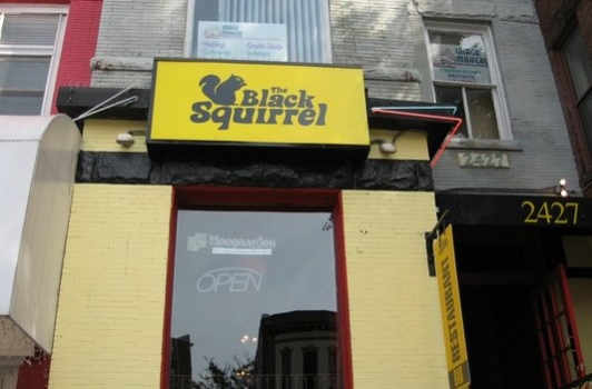 The Black Squirrel - Adams Morgan DC