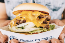 Elevation Burger