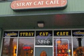 Stray Cat Cafe @ Arlington